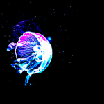 Sea Dwellers