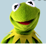 Wise Frog