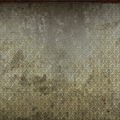 berlin_wall_plaster_wallpaper24_dirt_c Roblox decal