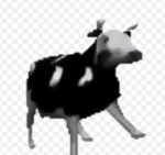 Dancing Cow UGC