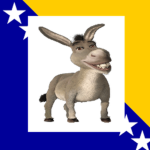 United Council of Colonial Bosnia