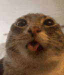 blehhhhhhhhhhhhhhhhhhhhh