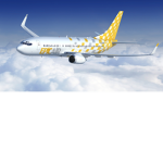 Blocky Airlines