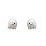 232897239374928374