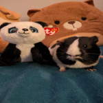 betcover!!! Group Thumbnail
