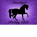 Amz's Amethyst Riding Academy
