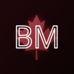 BM1 Group