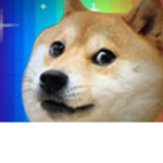 The Loyal Doges