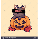 SPOOKY CAT GANG