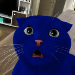 bu0t’s b0is