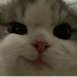 Pls let me name it’s sksieurn
