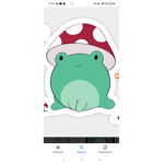 Mushroom and frogs forever