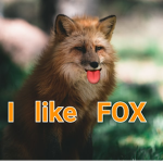 The Fox Army Group