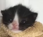 sad mask