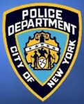 113 Precinct