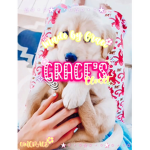 ʚɞ grace’s closet ʚɞ