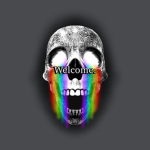 Find The Skulls