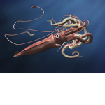 #Team Tentacles Forever