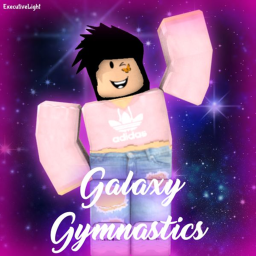 Galaxy Gymnastics Club Private Gym