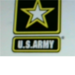 U.S. Army. FIGHT FOR FREEDOM!