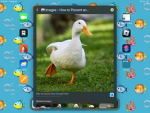 Quack_Inc.