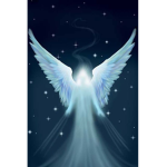 AngelGroup!