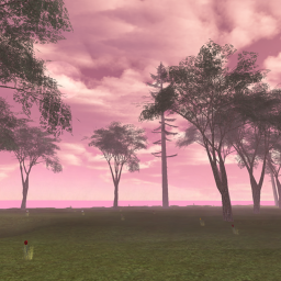 -=Paradise Domain=-