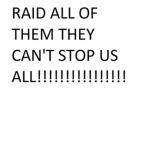 RAID RAID RAID