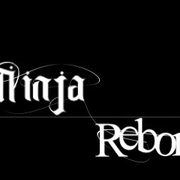 Ninja Reborn