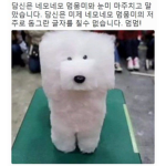 호랑말이
