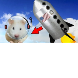 Hamster Space Racerz