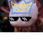 #TeamAxolotlguyys