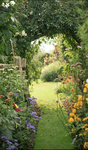 -Flowery Garden-