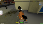 bloodhoundsk