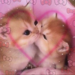 - GH0ST3D -