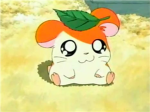 Hamtaro Fan club!
