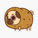 PUG TATO COLONY