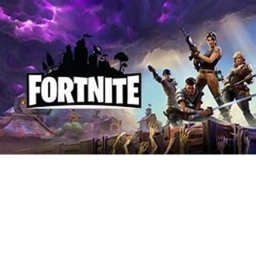 fortnite battle royale
