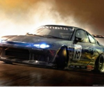 Professional racers