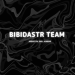 BIBIDASTR TEAM