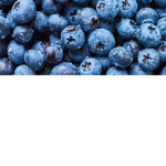 Project Blue Berry