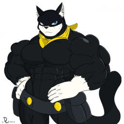 Road to the cat from persona 5
