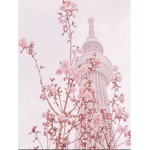 ~.Blossoms.~