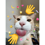 esthcg