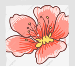 -Chery_Blossom_Group -