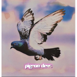 Pigeon Devs