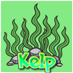 Kelp Studios.