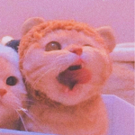 ALI AND SHA