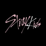 SKZSTORE Group Thumbnail