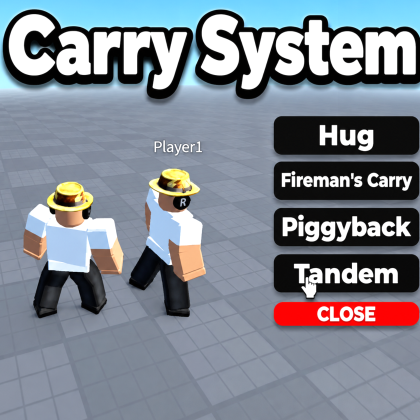 Carry System
